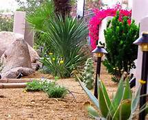 xeriscaping in lake havasu