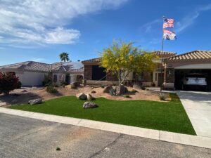 xeriscape landscaping with plants and synthetic turf